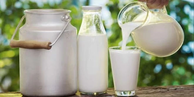 Ticari süt işletmeleri 772 bin 552 ton süt topladı 