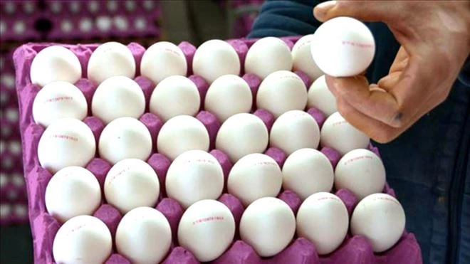 Yumurta fiyatlarındaki artışın ?kur´ kaynaklı olduğunu açıkladı 