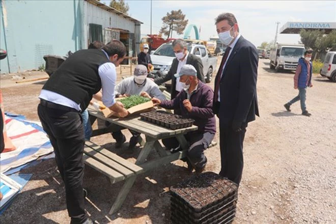 Bandırma Belediyesi mevsimlik çiçek serası kurdu 