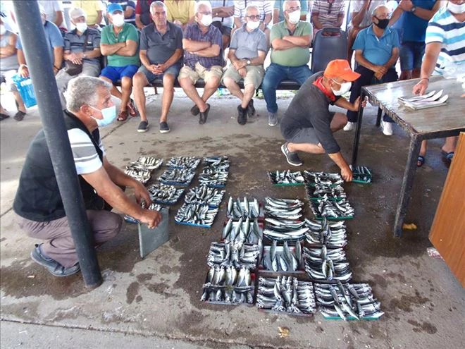 Tatilciler balık mezadına büyük ilgi gösteriyor