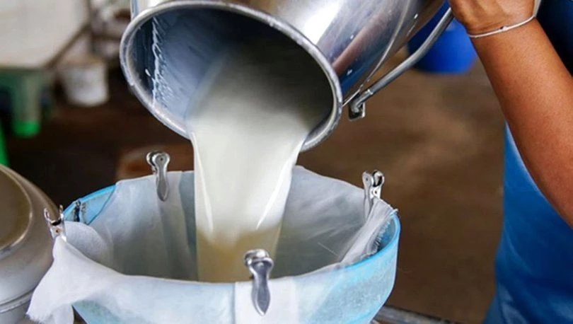 TÜİK üreticiden toplanan süt miktarını açıkladı 