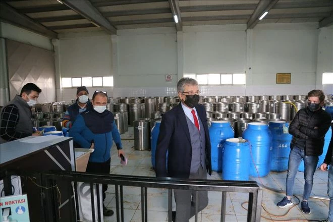 Edremit Belediyesi zeytinyağı satışına hazırlanıyor 