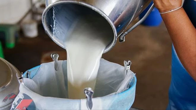Bandırma sokaklarında çiğ süt satışı yasaklandı
