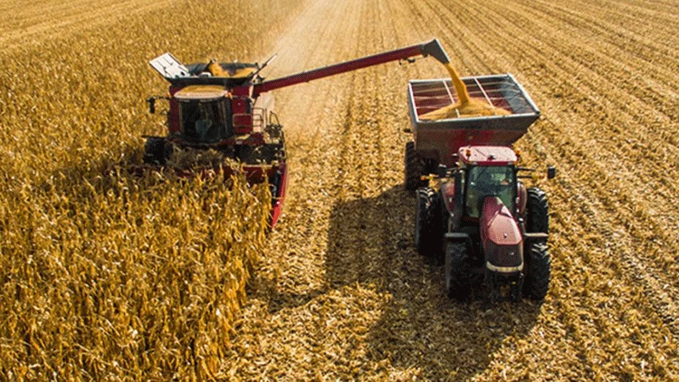 Tarım-ÜFE yıllık ve aylıkta artış gösterdi 