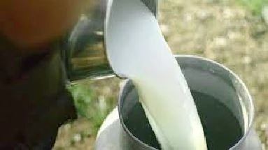 TÜİK, toplanan süt miktarını açıkladı 