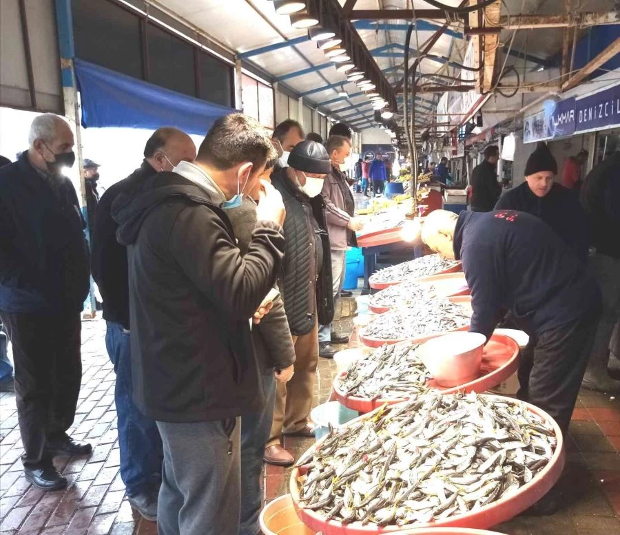 Balık bollaştı vatandaş balık haline hucum etti 