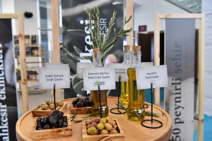 Uluslararası Anadolu Zeytinyağı Yarışması Gömeç’te düzenleniyor 
