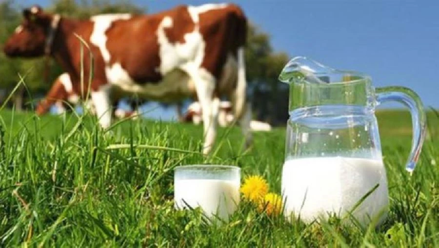 TÜİK, Ocak ayı süt ve süt ürünleri üretimi istatistiklerini açıkladı 