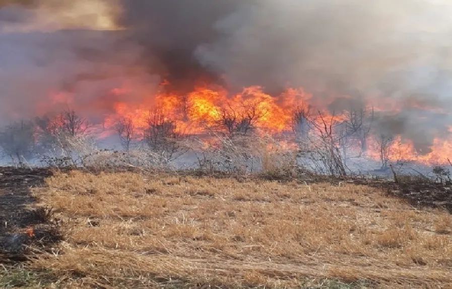 Bandırma’da arazi yangını 