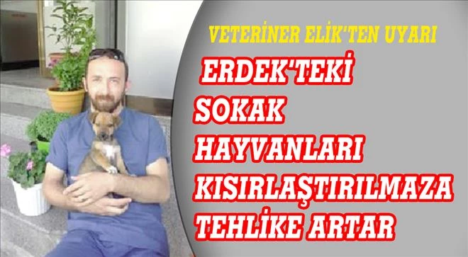 Veteriner Elik´ten uyarı