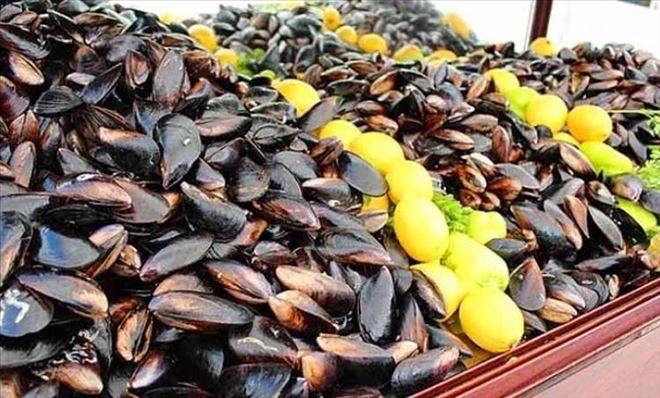 Midyeci Yasin´den ?Müsilajın midyeye etkisi var mı?? sorusuna cevap geldi 