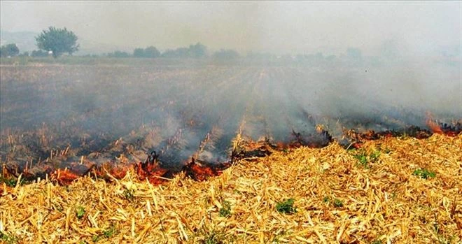 Zeytin bahçeleri ve tarlalarda ateş yakılması yasak