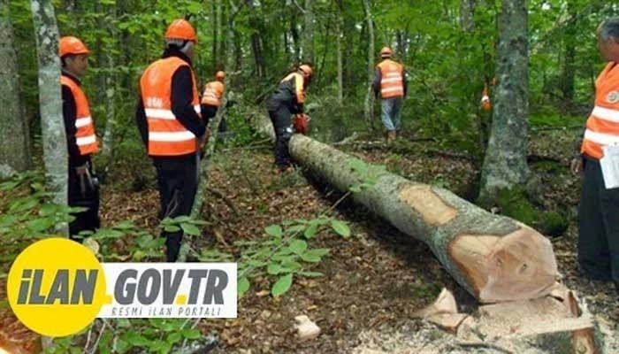 Teknik denetim ve kontrolörlük hizmeti alınacaktır