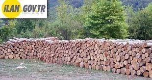 Orman emvali istifleme işi hizmeti alınacaktır