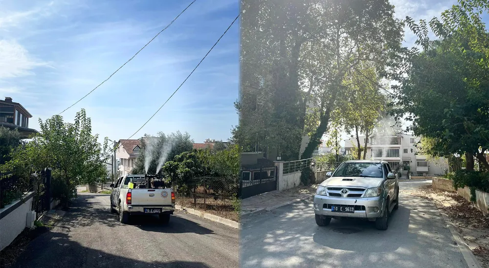 Erdek’te haşereyle mücadele devam ediyor