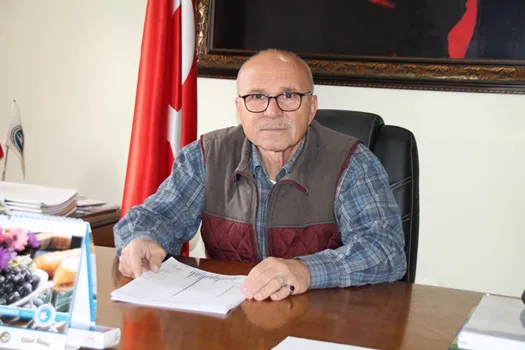 “Kapıdağ zeytini “vahşi sulama”yla bir yere varamaz”