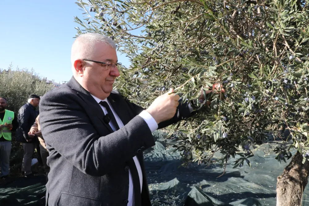 Edremit Belediye Başkanı Mehmet Ertaş:  “Tek bir zeytin tanesi heba olmuyor”