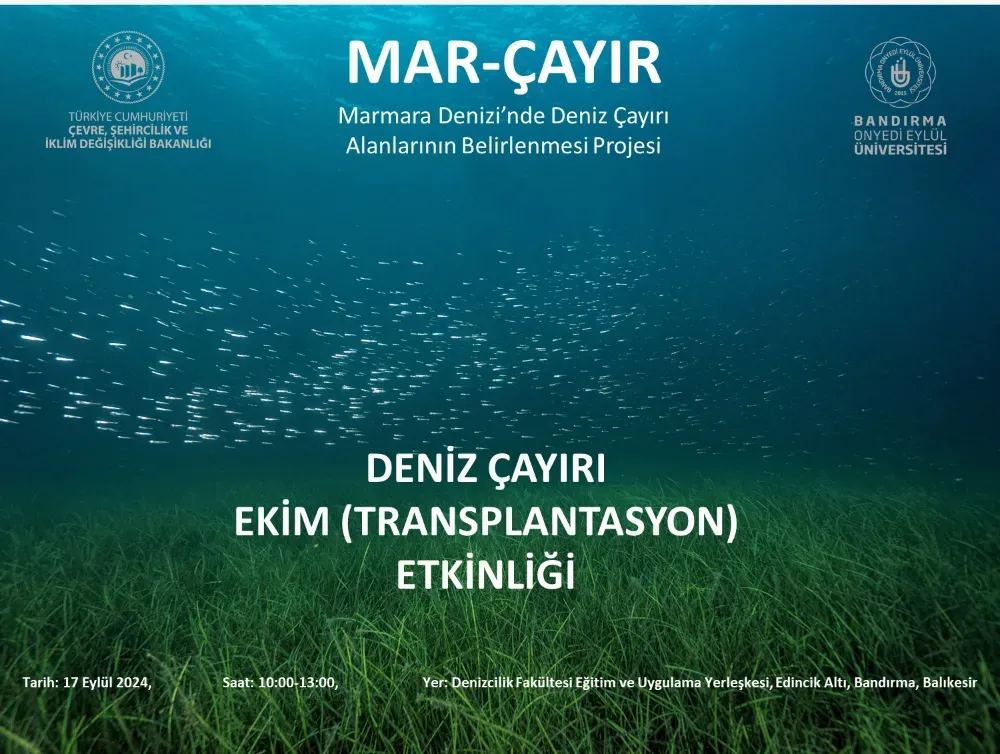 Edincik altında “Deniz Çayırı” etkinliği