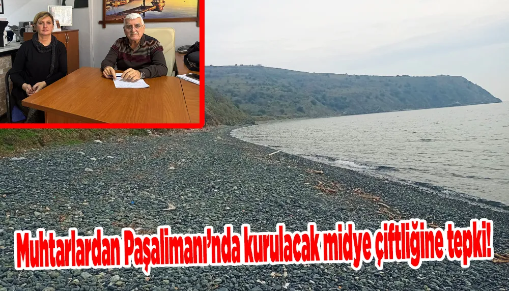 Muhtarlardan Paşalimanı’nda kurulacak midye çiftliğine tepki!