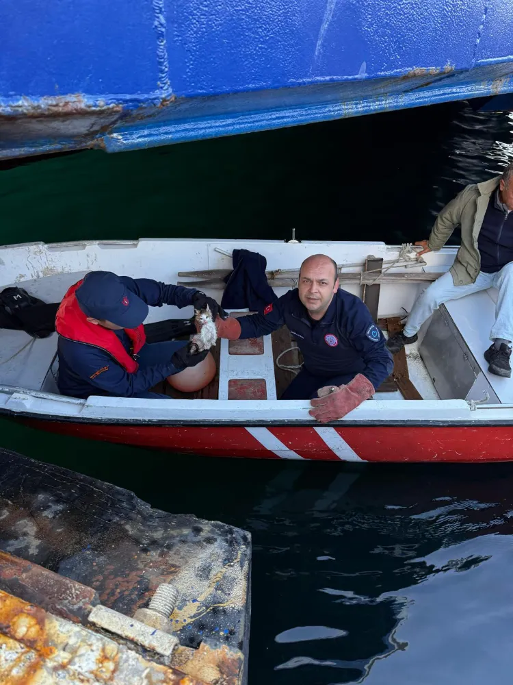 Erdek Limanı’nda kedi kurtarma operasyonu