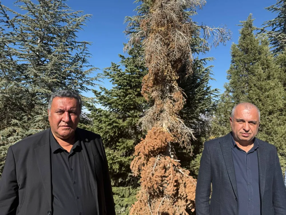 CHP Niğde Milletvekili Gürer: “Tarımın kurtuluş anahtarı kooperatifçiliktir”