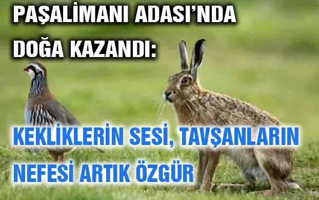 Paşalimanı Adası’nda doğa kazandı: