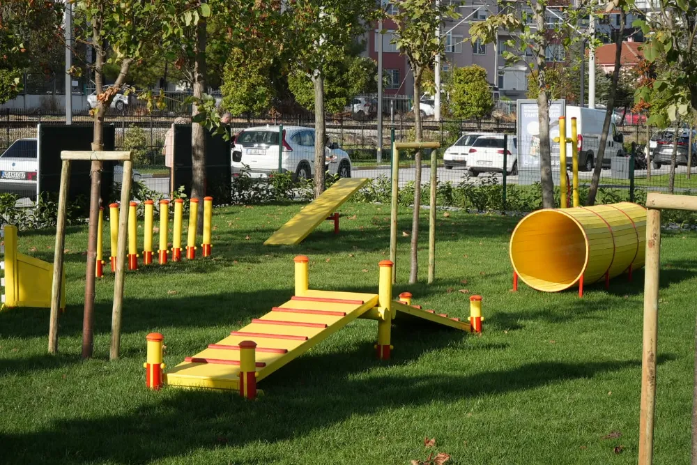 Ahmet Akın, can dostları Pati Park ile buluşturdu