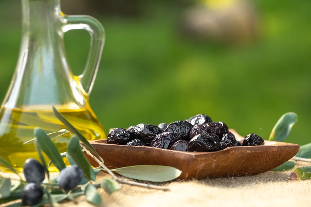 Marmarabirlik’ten 761 milyon TL’lik ödeme