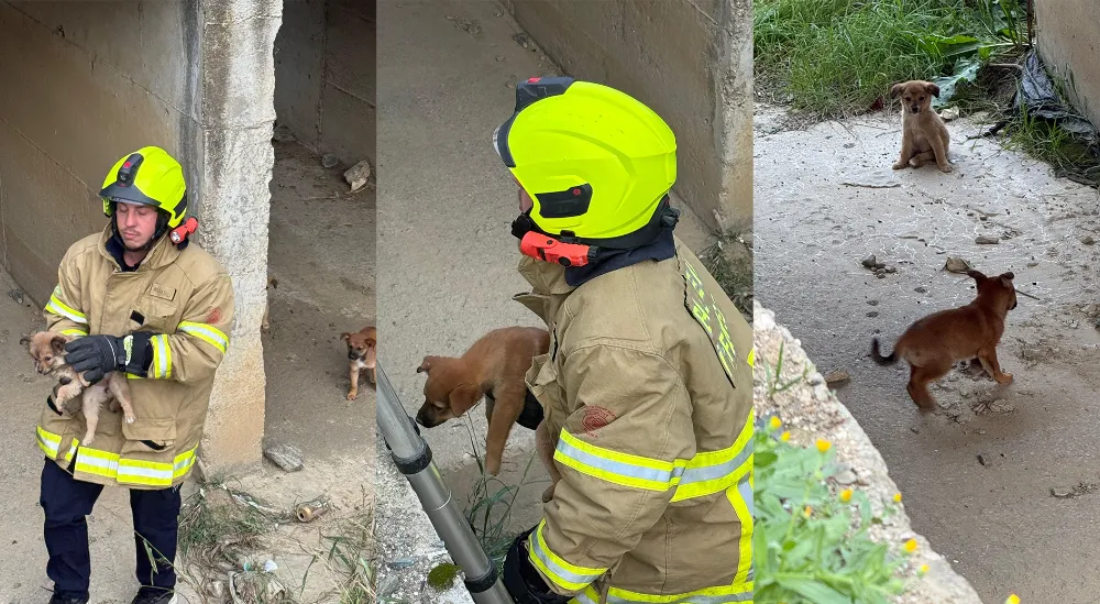 Kanalda mahsur kalan minik patilere itfaiye eli 