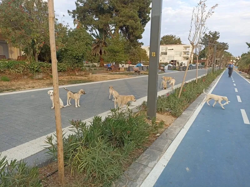 Marmara Adalar