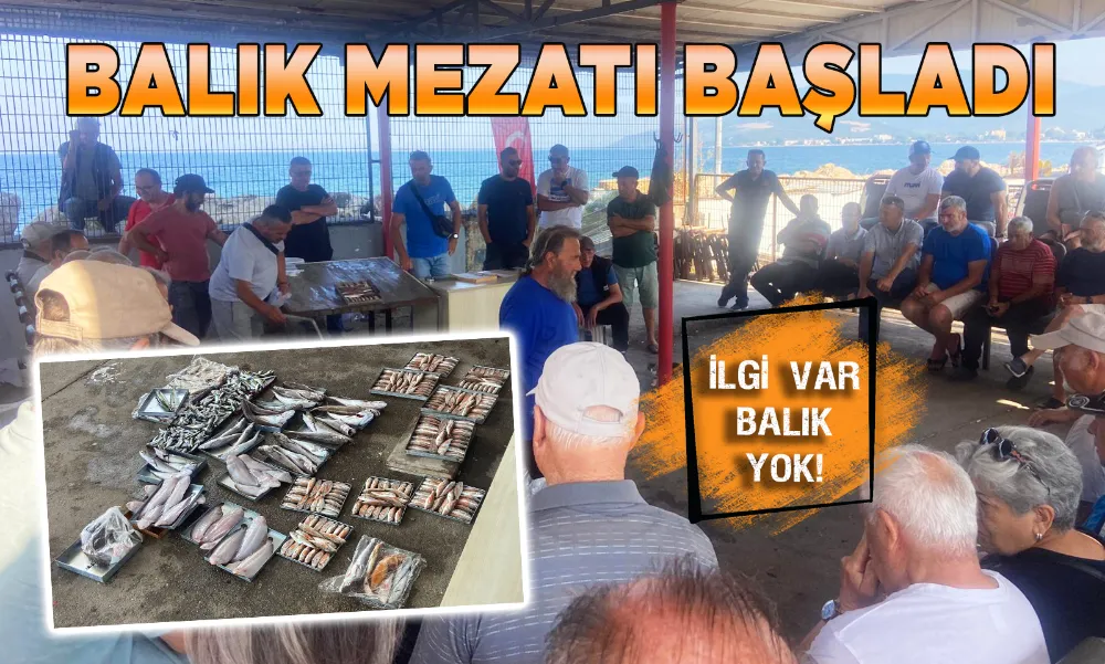 Erdek’te balık mezatı başladı