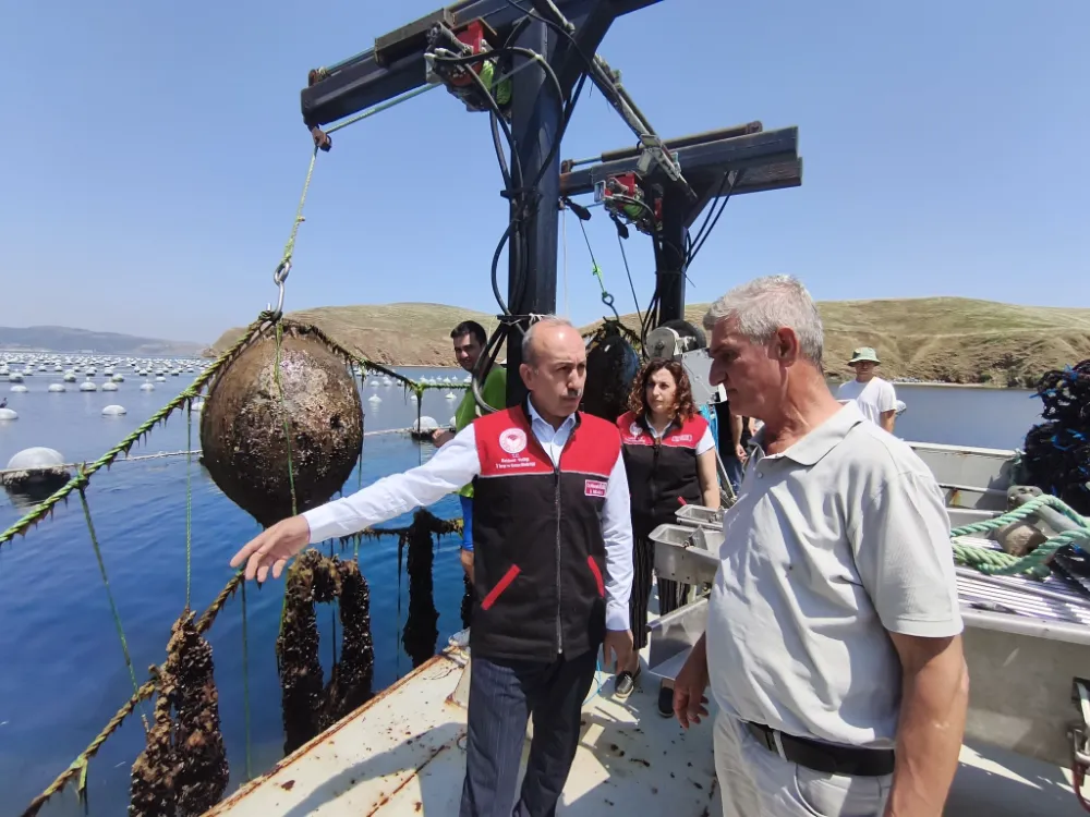 Çakıl’da midye hasadı: Üreticilere tam destek