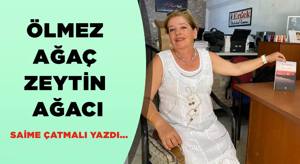 Ölmez ağaç, zeytin ağacı