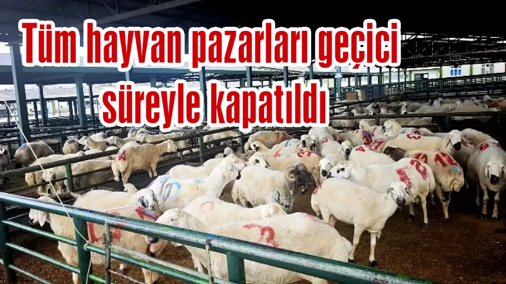 Tüm hayvan pazarları geçici süreyle kapatıldı