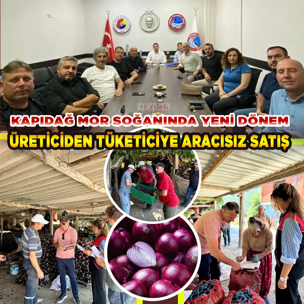 Kapıdağ mor soğanında aracısız satış dönemi başladı