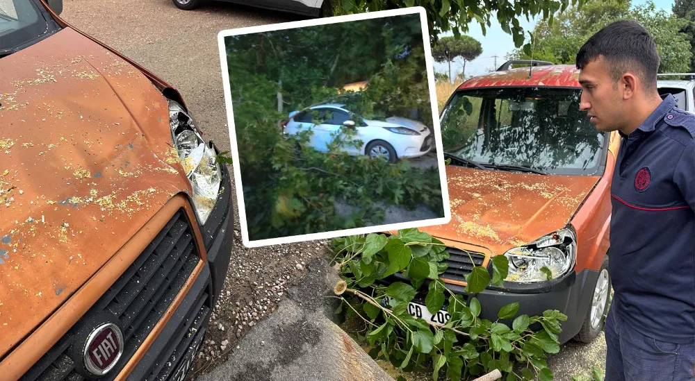 Şiddetli fırtınada ağaçlar devrildi, otomobiller zarar gördü 