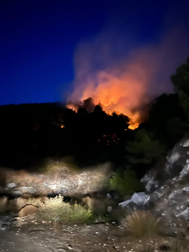 Marmara Adası’nda orman yangını devam ediyor
